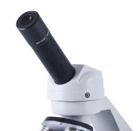 New A-Level Practical – Microscopes and Graticules Image