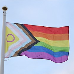 We're Raising The Progress Pride Flag for LGBT+ History Month! Image