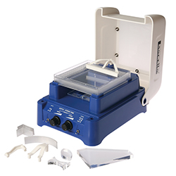 March Star Buy - Lascells Ripple Tank Image