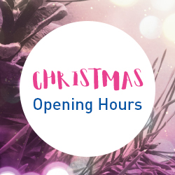 Christmas Opening Hours Image