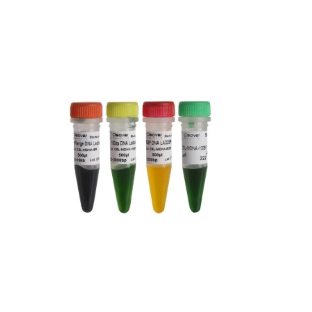 High Range DNA Ladder 250bp-25 | ELE2356 | CLEAVER | SE