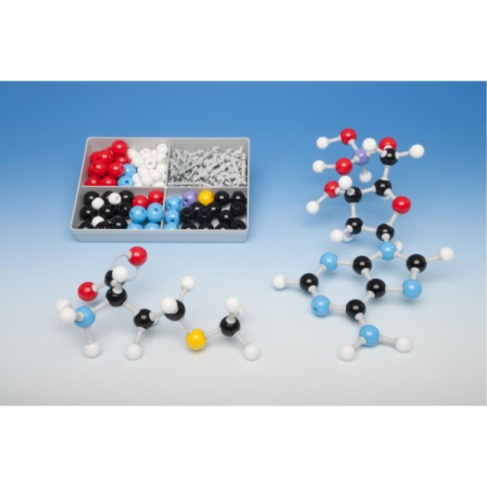 Molymod Molecular Model Bioche | MMS010 | MOLYMOD | SE